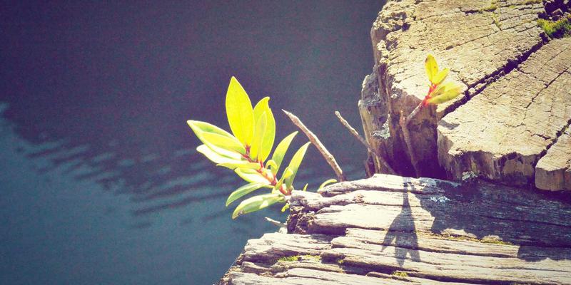 从复古健身到科学营养：打造属于你的75天健身革命