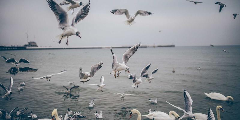 健康生活从安全开始：老年人、孕妇及康复者如何科学选择跑步机等健身器材