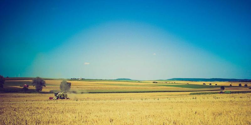 健身器材36:融合复古健身、科学计划与运动营养的完整指南