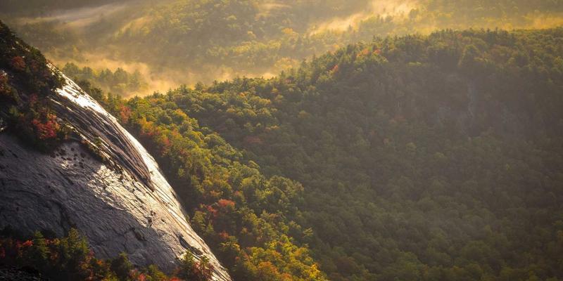 健身器材38：科学搭配运动营养与器械训练，打造高效健身方案