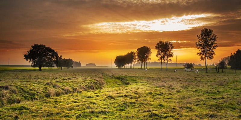 健身器材54:从蛋白粉到哑铃,如何制定高效健身计划