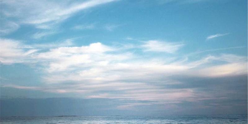 健身器材72变：从跑步机到健康生活的全方位指南