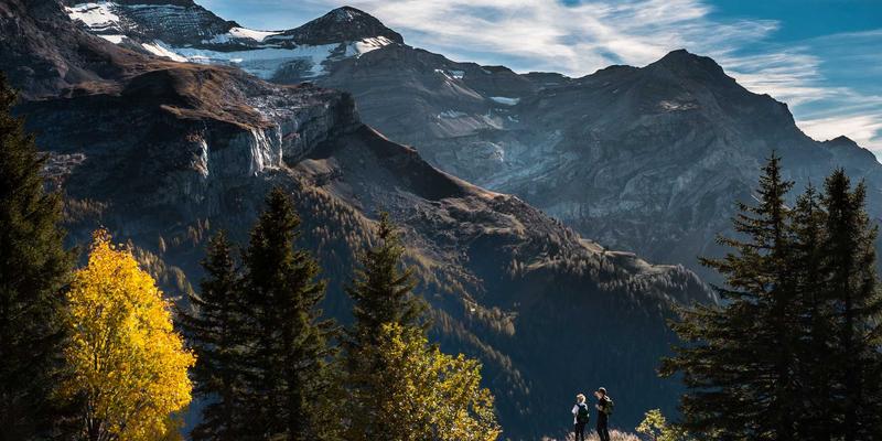 健身器材81：科学融合跑步机、健身计划与运动营养的终极指南