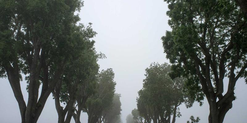 健身器材99:从蛋白粉到复古哑铃,打造科学高效的健身生态