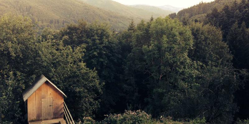 健身器材、运动营养与科学计划：打造高效健身的黄金三角