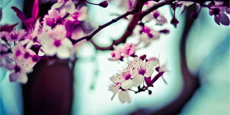 健身器材选购指南：从哑铃开始打造健康生活