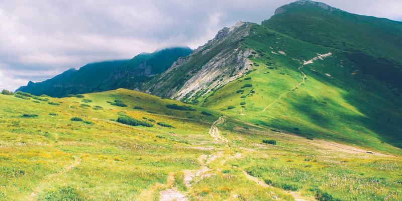 划船机全解析：从有氧到无氧，打造V型背部的终极训练计划（附蛋白粉与跑步机协同指南）