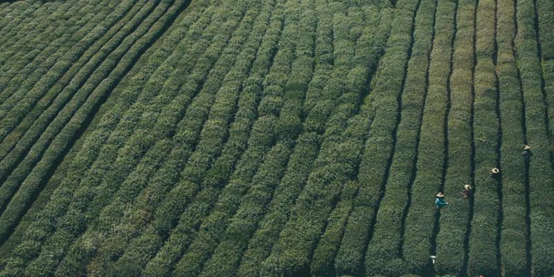 史密斯机安全训练指南：解锁卧推与深蹲的潜力，搭配蛋白粉与跑步机提升综合效果