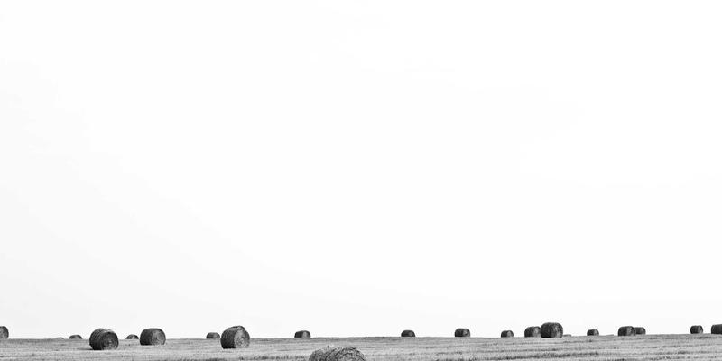 哑铃训练与运动营养全攻略:从正确动作到蛋白粉科学补充