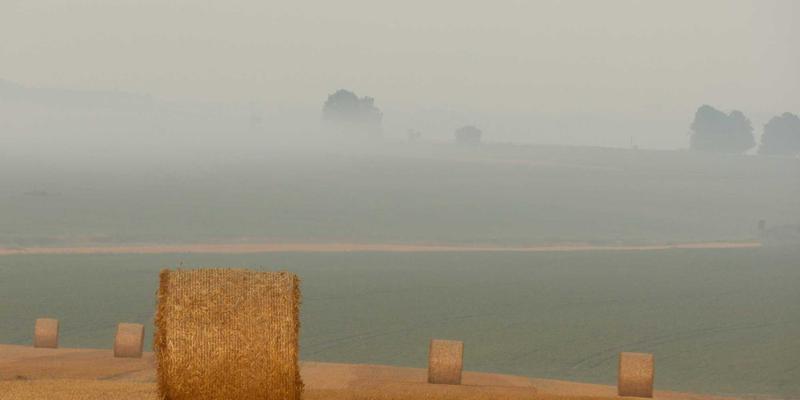 复古健身器材复兴：当经典器械邂逅现代健康生活与蛋白粉科学