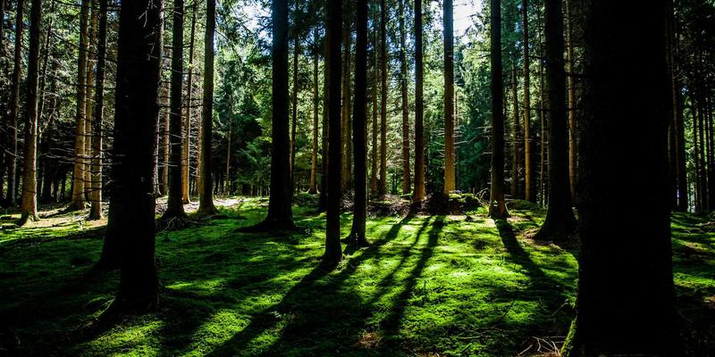 复古健身新风尚：二手健身器材选购避坑指南，兼顾运动营养的明智之选
