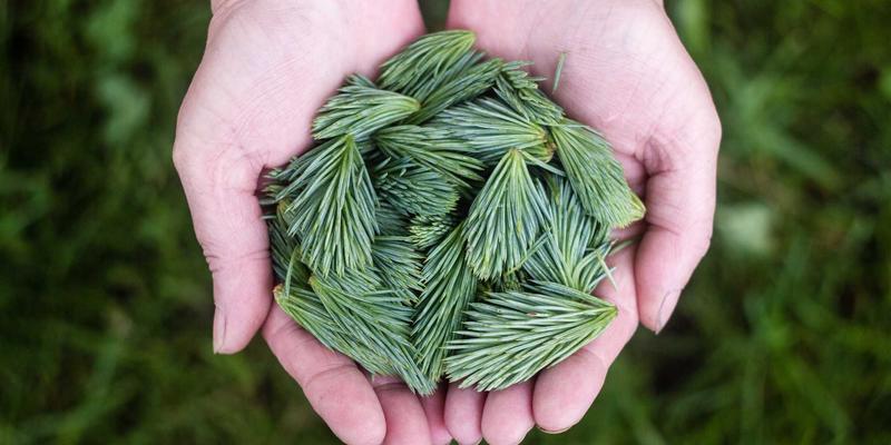 家用多功能健身器械深度评测：如何用一台设备替代哑铃、蛋白粉和跑步机？