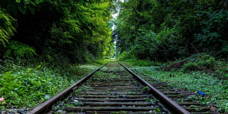 小空间健身革命：可折叠跑步机与模块化存储如何优化你的健身计划与运动营养