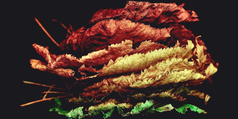 攀爬机训练的科学原理：如何结合运动营养与健身器材实现低冲击高效心肺提升