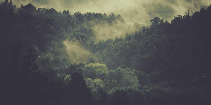 椭圆机vs跑步机：哪个减肥效果更好？从热量消耗与关节保护深度解析