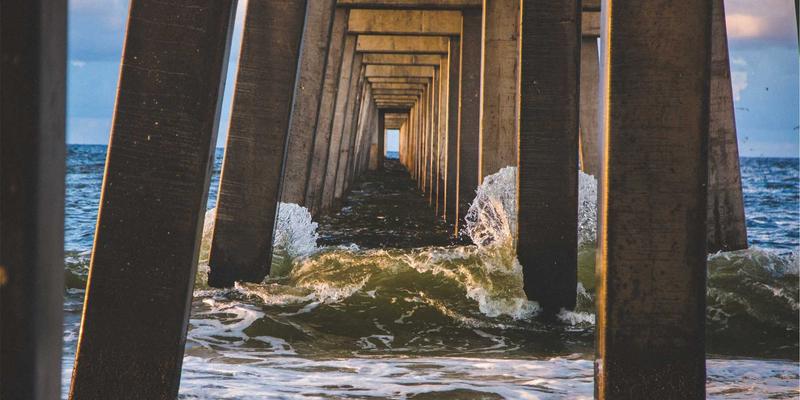 科学健身三部曲：从跑步机到蛋白粉，打造你的高效健身计划