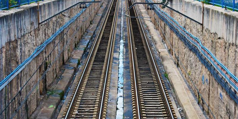 蛋白粉与运动营养:科学融入健身计划的终极指南