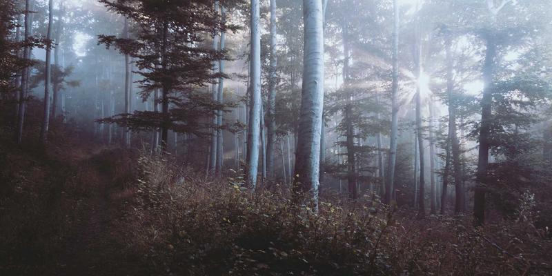 超越跑步机与蛋白粉：小众健身器械如何革新你的健身计划
