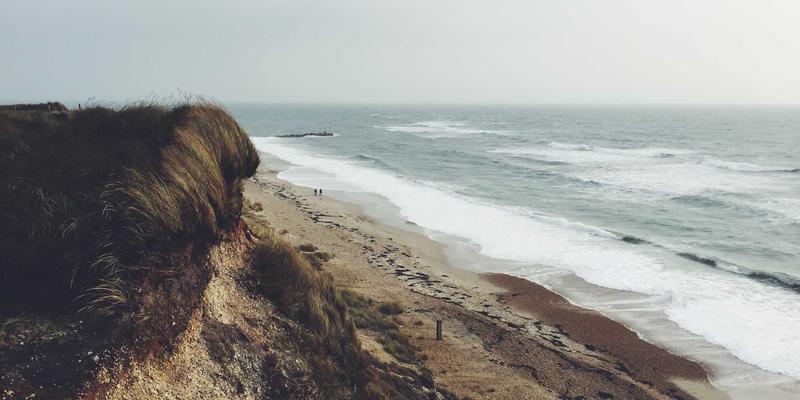 跑步机之外的选择：划船机训练全攻略，一台机器高效锻炼全身80%以上肌群