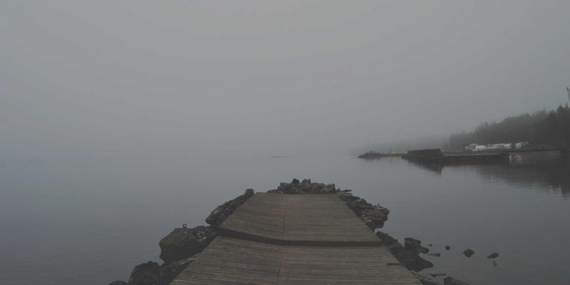 运动营养与蛋白粉科学指南：赋能健康生活的健身第五大器材