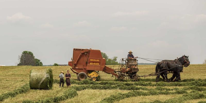 高端商用跑步机选购终极指南：匹配科学健身计划与运动营养策略